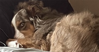 Vala Tries to Remember the Things She Likes (With Difficulty)