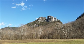 All the Movies I&#39;ve Watched, Warning Long