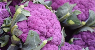 Purple Wanna Try Foods