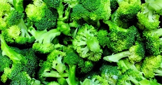 What Ray Ate - Day 873