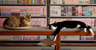 A Random Sampling of Angie&#39;s Shelves