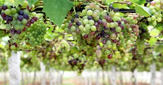 For the 86th Anniversary of John Ford's Grapes of Wrath: 88 Films From 11 Decades!!!