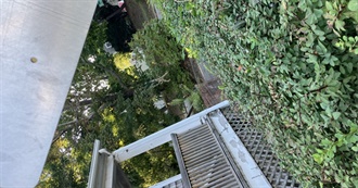 Fz&#39;s List of Favorite (Not Best!!!) Movies