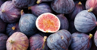 FABULOUS- FIGS