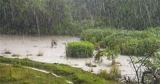 120 Rainy Day Movies, Starting W/ Miami Vice (The Movie)