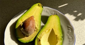 What a Sloth Ate - 47