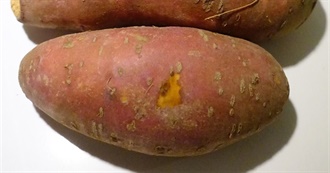 65 Foods With Sweet Potato
