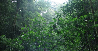 100 Books to Become Acquainted With Peachpulpeuse