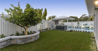 Things in a Yard or Garden