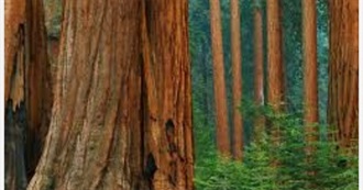 Landmarks, Museums, Attractions, Etc.