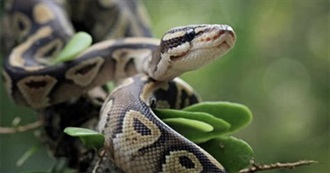 100 Books With &quot;Snake&quot; or &quot;Serpent&quot; in Their Title