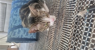 Alex&#39;s Top Movies