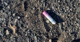 Insecthusbandry&#39;s Little List &#129714;