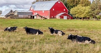 Top Ten Farm Animals