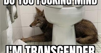 Eve&#39;s Top 34 Movies