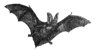 Howl&#39;s Top 50 Movies