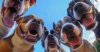 Books I've Read That You May Not Have Heard of **15