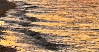 Last Ten Bowman Watched #174