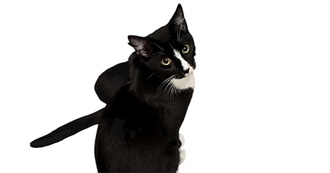 Thorin&#39;s Top 50 Albums