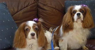 AJB&#39;s Grand Movie List