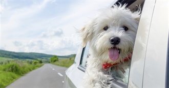 US Cities Emma Has Visited