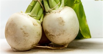 Favourite Foods Starting With T