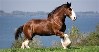 Ben Top 70 Movies Ever Made