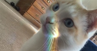 Ana&#39;s K-Drama Checklist