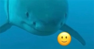 Emma&#39;s Top 100 Movies