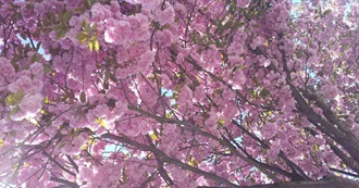 Cara&#39;s Formative Books