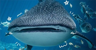 Spencer&#39;s Top 100 Movies