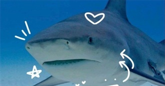 Gravy&#39;s 100 Favorite Movies