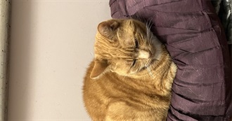 Rhodri January to March 2026