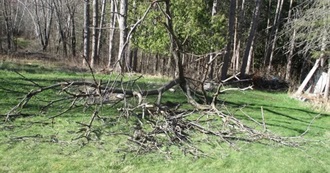 SKJAM!--One Read One Recommended 5/25