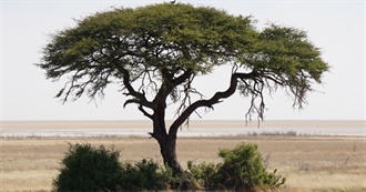 Places Outside US and Europe Urs Has Been