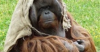 Kappi&#39;s Top 50 Movies