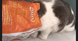 Potato Chip Flavours