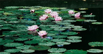 Movietonights Favorite Movies