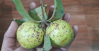 Nilay&#39;s 14 Best Films- 1979