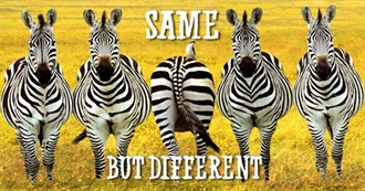 Books That Share a Title