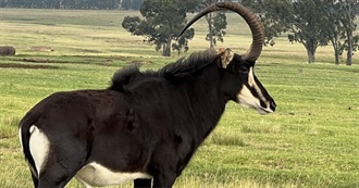 Tracy&#39;s Really Big List of Male Characters From Movies, TV and Literature!