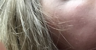 Ninja Turtle Characters