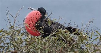 Favourite South American Destinations