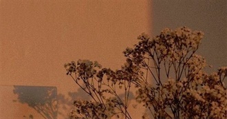 Libros Le&#237;dos Este A&#241;o