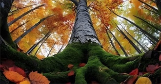 Another 20 Book Challenge