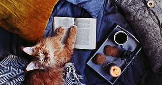 Lit Loving Librarian&#39;s More to Read Part X