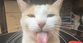 New Watches Since Started Tracking (2023)