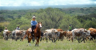 Eunsoy&#39;s Texas Tour