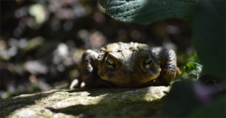 Books So Good Pheebs Read Them (At Least) Twice