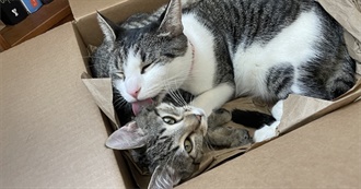 Plumbism&#39;s Fave 60 Artistes